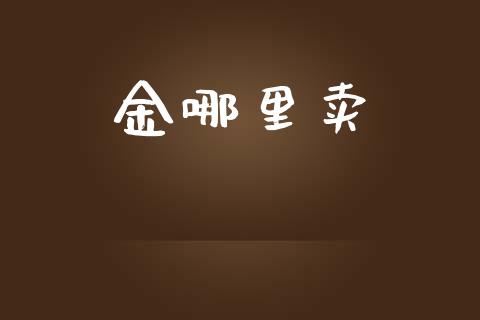 金哪里卖_https://cj002.lansai.wang_金融问答_第1张