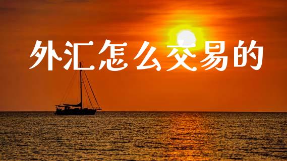 外汇怎么交易的_https://cj002.lansai.wang_理财问答_第1张