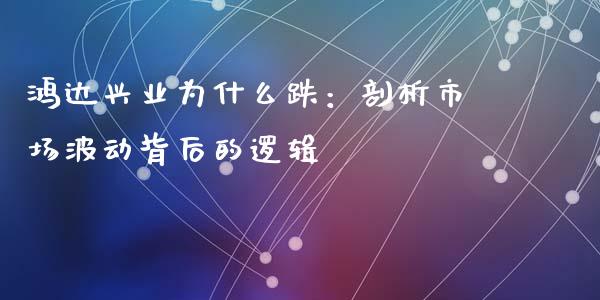 鸿达兴业为什么跌：剖析市场波动背后的逻辑_https://cj002.lansai.wang_保险问答_第1张
