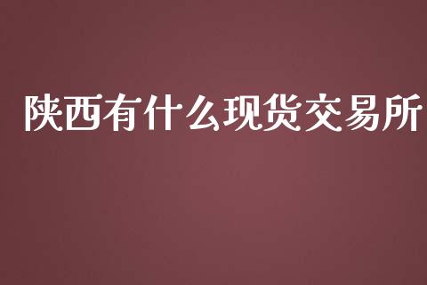 陕西有什么现货交易所_https://cj002.lansai.wang_期货问答_第1张