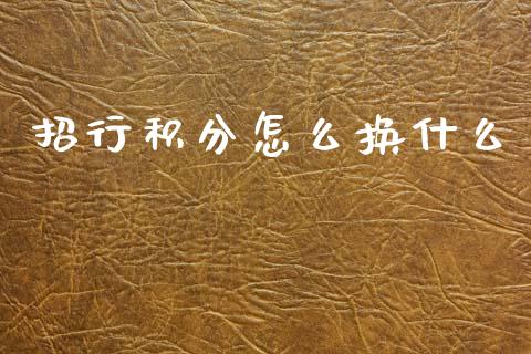招行积分怎么换什么_https://cj002.lansai.wang_金融问答_第1张