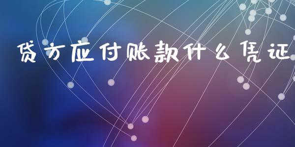 贷方应付账款什么凭证_https://cj002.lansai.wang_会计问答_第1张