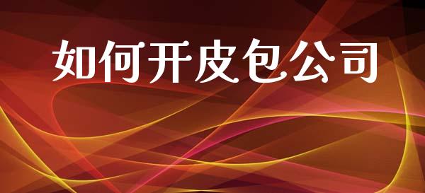 如何开皮包公司_https://cj002.lansai.wang_财经百问_第1张