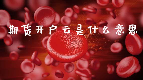 期货开户云是什么意思_https://cj002.lansai.wang_保险问答_第1张