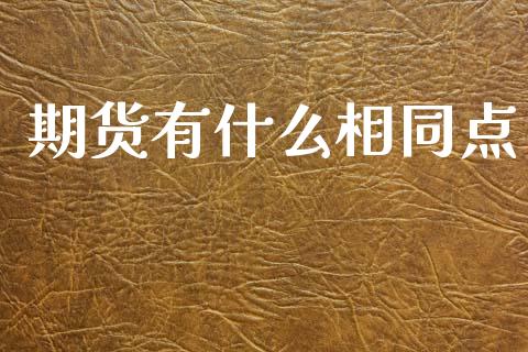 期货有什么相同点_https://cj002.lansai.wang_理财问答_第1张