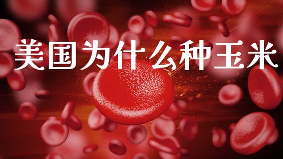 美国为什么种玉米_https://cj002.lansai.wang_金融问答_第1张