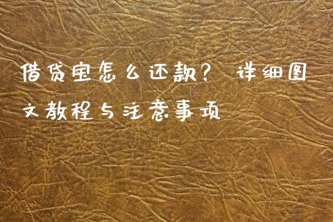 借贷宝怎么还款？ 详细图文教程与注意事项_https://cj002.lansai.wang_财经问答_第1张