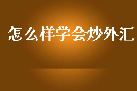 怎么样学会炒外汇_https://cj002.lansai.wang_财经问答_第1张