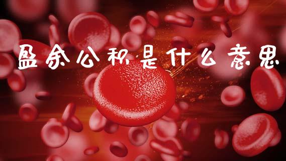 盈余公积是什么意思_https://cj002.lansai.wang_会计问答_第1张