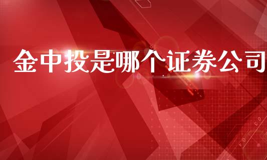 金中投是哪个证券公司_https://cj002.lansai.wang_期货问答_第1张