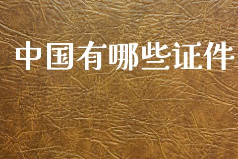 中国有哪些证件_https://cj002.lansai.wang_金融问答_第1张