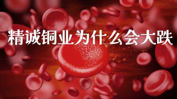 精诚铜业为什么会大跌_https://cj002.lansai.wang_财经百问_第1张