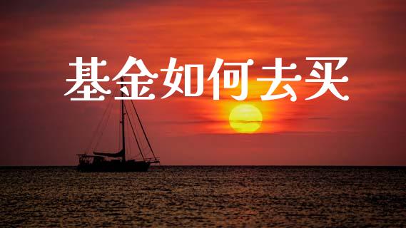 基金如何去买_https://cj002.lansai.wang_金融问答_第1张