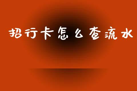 招行卡怎么查流水_https://cj002.lansai.wang_金融问答_第1张