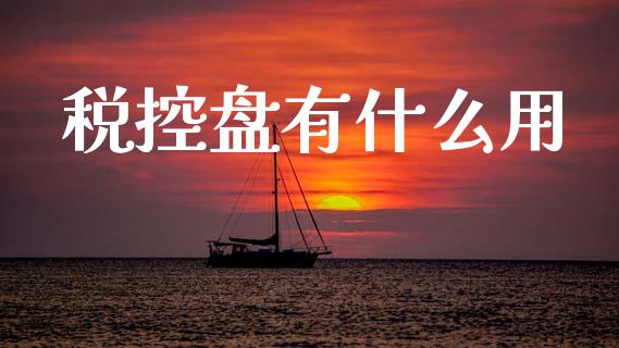 税控盘有什么用_https://cj002.lansai.wang_会计问答_第1张