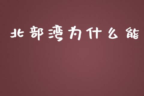 北部湾为什么能_https://cj002.lansai.wang_财经百问_第1张