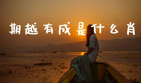 期越有成是什么肖_https://cj002.lansai.wang_期货问答_第1张