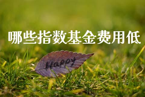 哪些指数基金费用低_https://cj002.lansai.wang_股市问答_第1张