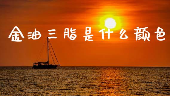 金油三脂是什么颜色_会计问答_第1张_财经百问网 金油三脂是什么颜色_https://cj002.lansai.wang_会计问答_第1张