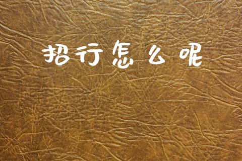 招行怎么呢_https://cj002.lansai.wang_金融问答_第1张