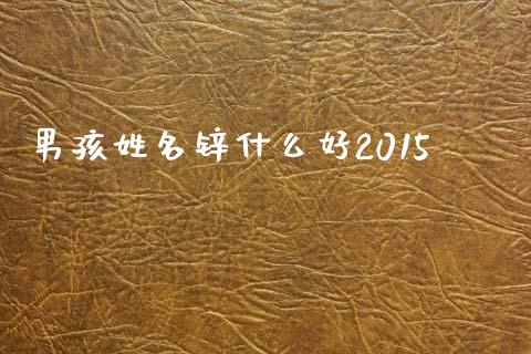 男孩姓名锌什么好2015_https://cj002.lansai.wang_理财问答_第1张