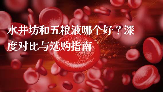 水井坊和五粮液哪个好？深度对比与选购指南_https://cj002.lansai.wang_财经问答_第1张