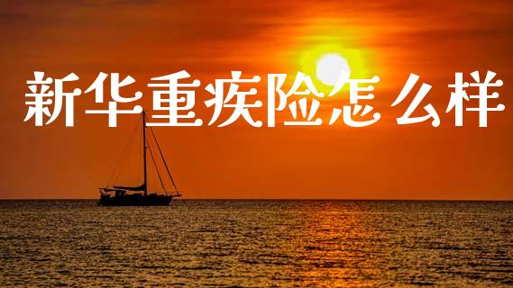 新华重疾险怎么样_https://cj002.lansai.wang_保险问答_第1张
