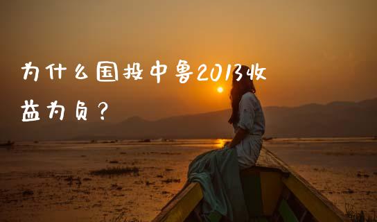 为什么国投中鲁2013收益为负？_https://cj002.lansai.wang_会计问答_第1张
