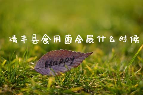 清丰县食用菌会展什么时候_https://cj002.lansai.wang_财经问答_第1张