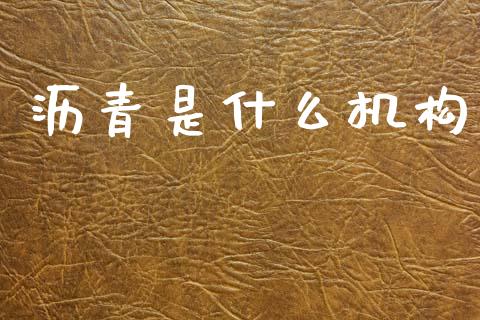 沥青是什么机构_https://cj002.lansai.wang_期货问答_第1张