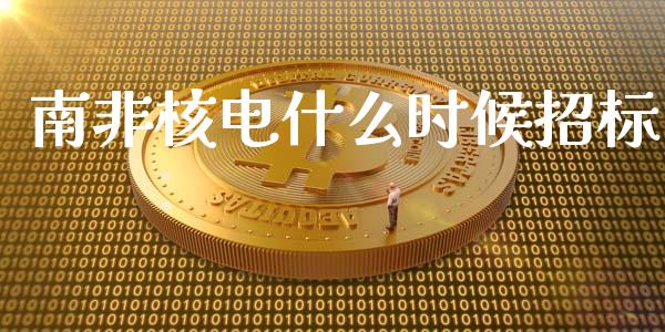 南非核电什么时候招标_https://cj002.lansai.wang_期货问答_第1张