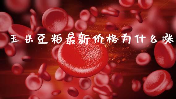 玉米豆粕最新价格为什么涨_保险问答_第1张_财经百问网 玉米豆粕最新价格为什么涨_https://cj002.lansai.wang_保险问答_第1张