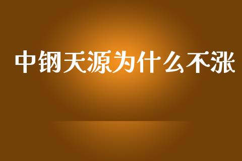 中钢天源为什么不涨_https://cj002.lansai.wang_财经百问_第1张