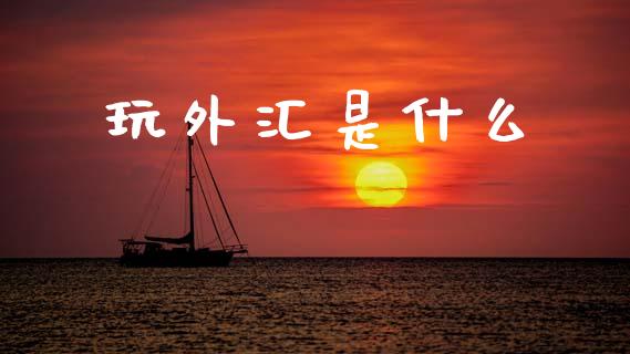玩外汇是什么_https://cj002.lansai.wang_财经问答_第1张