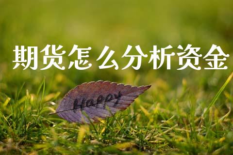 期货怎么分析资金_https://cj002.lansai.wang_财经问答_第1张