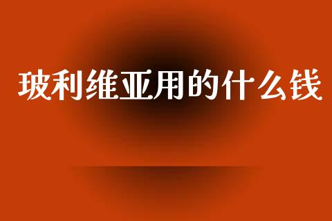 玻利维亚用的什么钱_https://cj002.lansai.wang_财经问答_第1张