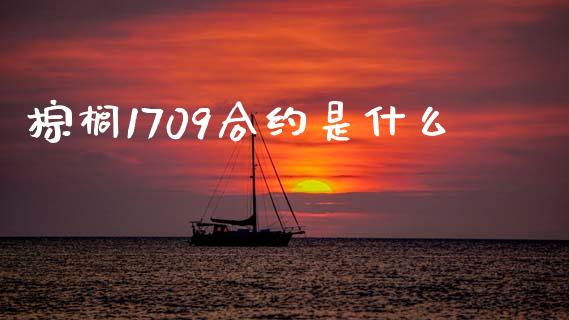 棕榈1709合约是什么_https://cj002.lansai.wang_期货问答_第1张