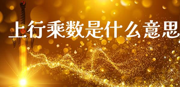 上行乘数是什么意思_https://cj002.lansai.wang_会计问答_第1张