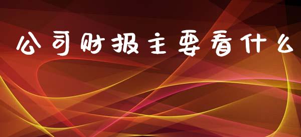 公司财报主要看什么_https://cj002.lansai.wang_股市问答_第1张