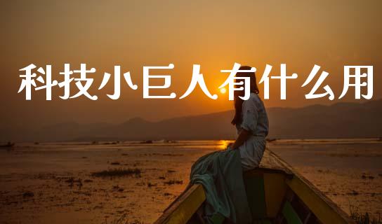 科技小巨人有什么用_https://cj002.lansai.wang_理财问答_第1张
