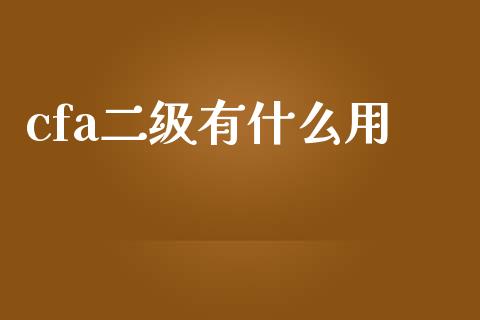 cfa二级有什么用_https://cj002.lansai.wang_会计问答_第1张