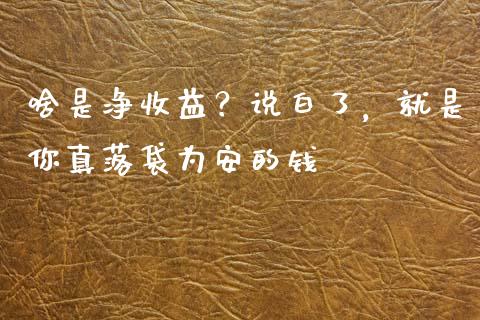 啥是净收益？说白了，就是你真落袋为安的钱_https://cj002.lansai.wang_会计问答_第1张