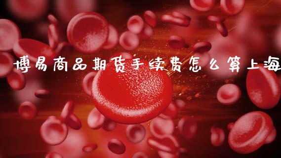 博易商品期货手续费怎么算上海_https://cj002.lansai.wang_理财问答_第1张