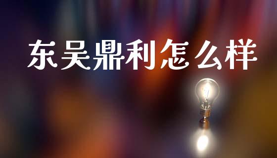东吴鼎利怎么样_https://cj002.lansai.wang_会计问答_第1张