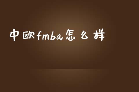 中欧fmba怎么样_https://cj002.lansai.wang_财经百问_第1张