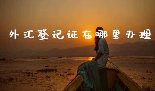 外汇登记证在哪里办理_https://cj002.lansai.wang_财经问答_第1张