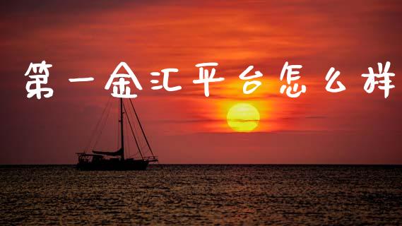 第一金汇平台怎么样_https://cj002.lansai.wang_财经问答_第1张
