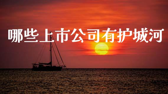 哪些上市公司有护城河_金融问答_第1张_财经百问网 哪些上市公司有护城河_https://cj002.lansai.wang_金融问答_第1张