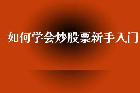 如何学会炒股票新手入门_https://cj002.lansai.wang_会计问答_第1张