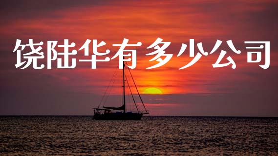 饶陆华有多少公司_https://cj002.lansai.wang_保险问答_第1张